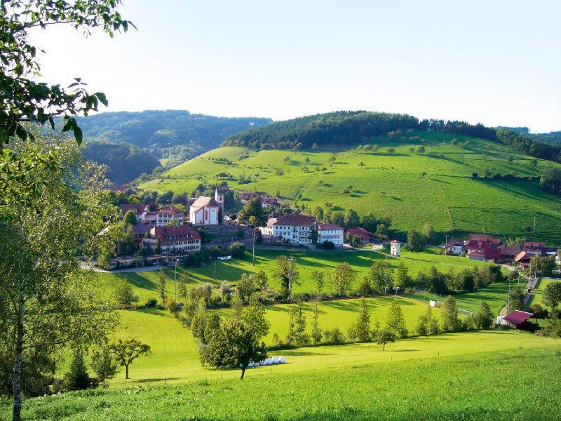 Gasthaus Zum Wilden Mann Welschensteinach Buitenkant foto